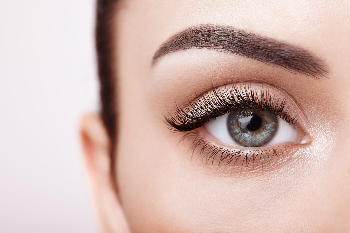 Cils & sourcils